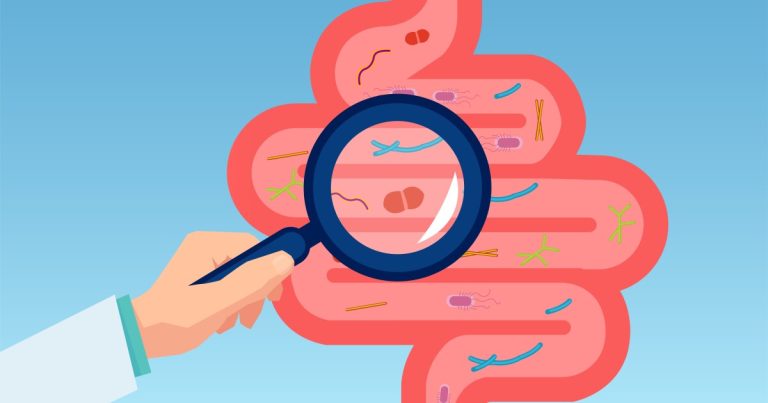 Nový pohled na to, jak vám vaše střevní bakterie mohou pomoci přibrat na váze