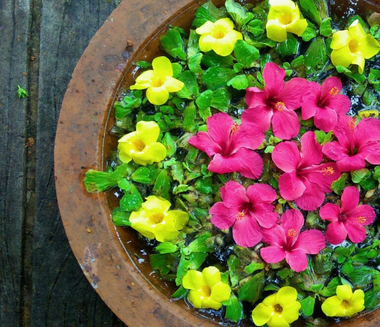 Jak si vytvořit zahradu plnou vůní: Tipy na výběr voňavých rostlin pro vaši oázu klidu