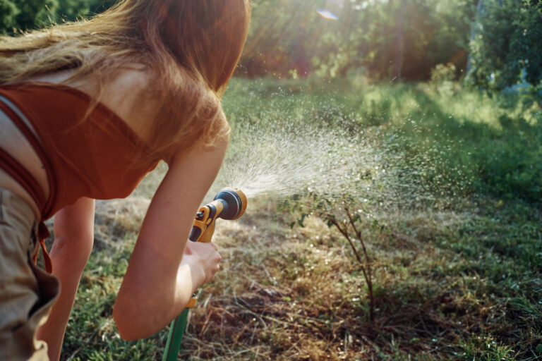 Tipy pro zavlažování během horkých letních dnů